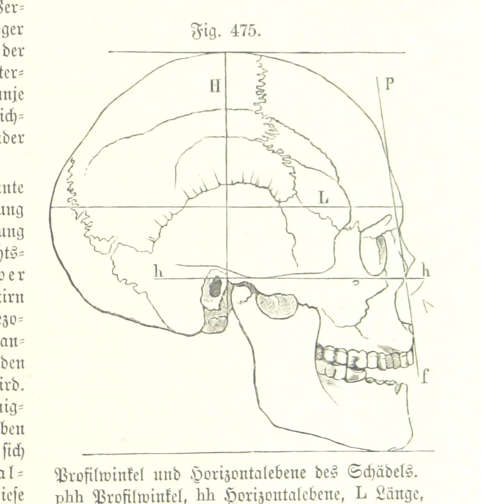 An illustration from Unser Wissen von der Erde. Allgemeine Erdkunde und Länderkunde, herausgegeben unter fachmännischer Mitwirkung von A. Kirchhoff, 1886, leaf 1089