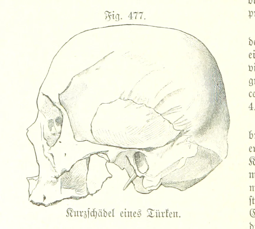 An illustration from Unser Wissen von der Erde. Allgemeine Erdkunde und Länderkunde, herausgegeben unter fachmännischer Mitwirkung von A. Kirchhoff, 1886, leaf 1090