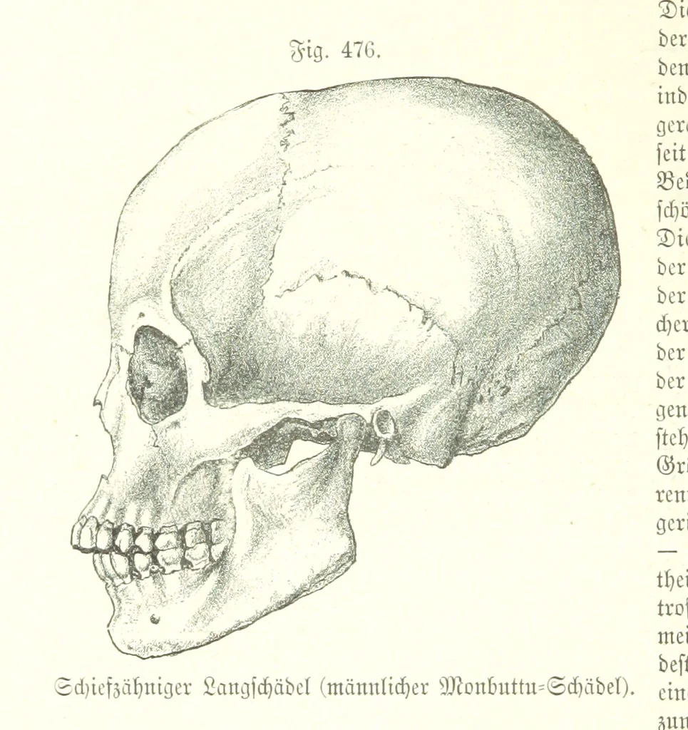 An illustration from Unser Wissen von der Erde. Allgemeine Erdkunde und Länderkunde, herausgegeben unter fachmännischer Mitwirkung von A. Kirchhoff, 1886, leaf 1090