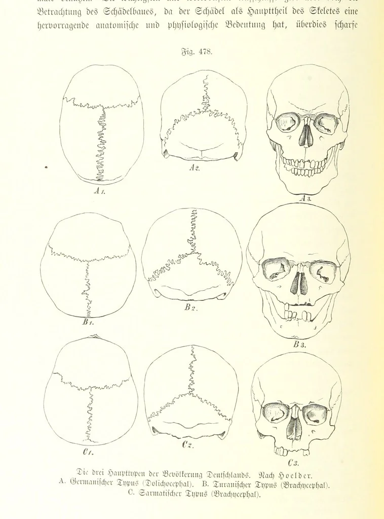 An illustration from Unser Wissen von der Erde. Allgemeine Erdkunde und Länderkunde, herausgegeben unter fachmännischer Mitwirkung von A. Kirchhoff, 1886, leaf 1092
