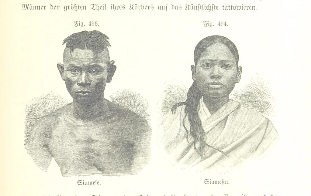 An illustration from Unser Wissen von der Erde. Allgemeine Erdkunde und Länderkunde, herausgegeben unter fachmännischer Mitwirkung von A. Kirchhoff, 1886, leaf 1107