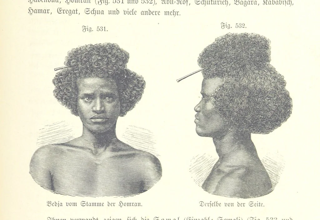 An illustration from Unser Wissen von der Erde. Allgemeine Erdkunde und Länderkunde, herausgegeben unter fachmännischer Mitwirkung von A. Kirchhoff, 1886, leaf 1137