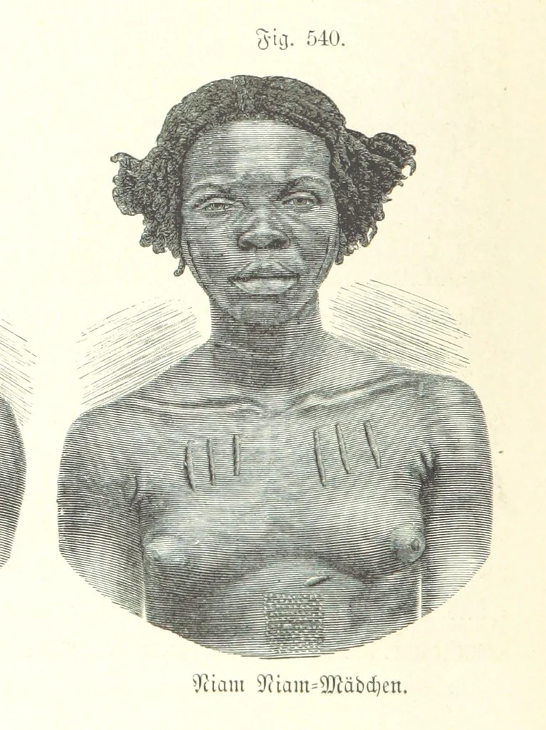 An illustration from Unser Wissen von der Erde. Allgemeine Erdkunde und Länderkunde, herausgegeben unter fachmännischer Mitwirkung von A. Kirchhoff, 1886, leaf 1140