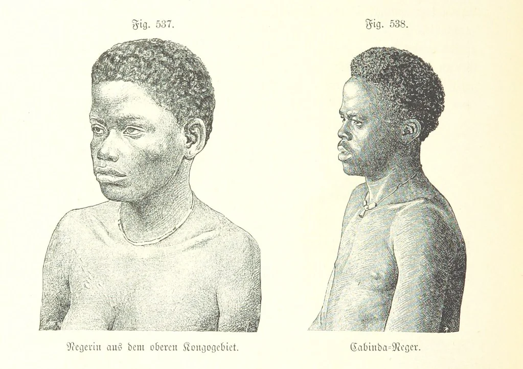 An illustration from Unser Wissen von der Erde. Allgemeine Erdkunde und Länderkunde, herausgegeben unter fachmännischer Mitwirkung von A. Kirchhoff, 1886, leaf 1140