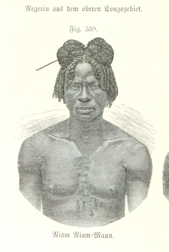 An illustration from Unser Wissen von der Erde. Allgemeine Erdkunde und Länderkunde, herausgegeben unter fachmännischer Mitwirkung von A. Kirchhoff, 1886, leaf 1140