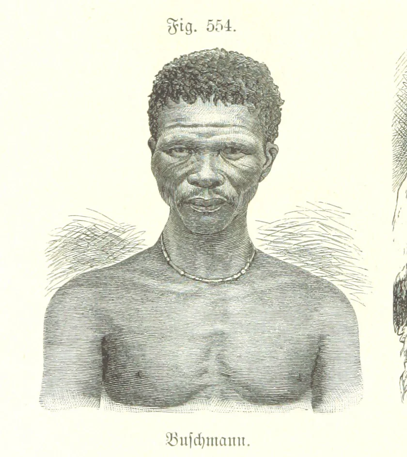 An illustration from Unser Wissen von der Erde. Allgemeine Erdkunde und Länderkunde, herausgegeben unter fachmännischer Mitwirkung von A. Kirchhoff, 1886, leaf 1146