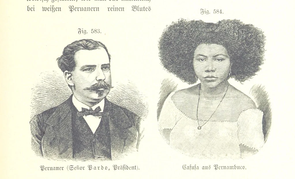 An illustration from Unser Wissen von der Erde. Allgemeine Erdkunde und Länderkunde, herausgegeben unter fachmännischer Mitwirkung von A. Kirchhoff, 1886, leaf 1165