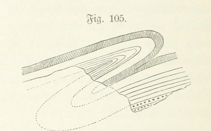 An illustration from Unser Wissen von der Erde. Allgemeine Erdkunde und Länderkunde, herausgegeben unter fachmännischer Mitwirkung von A. Kirchhoff, 1886, leaf 372