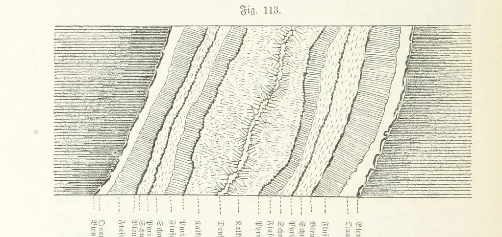 An illustration from Unser Wissen von der Erde. Allgemeine Erdkunde und Länderkunde, herausgegeben unter fachmännischer Mitwirkung von A. Kirchhoff, 1886, leaf 376