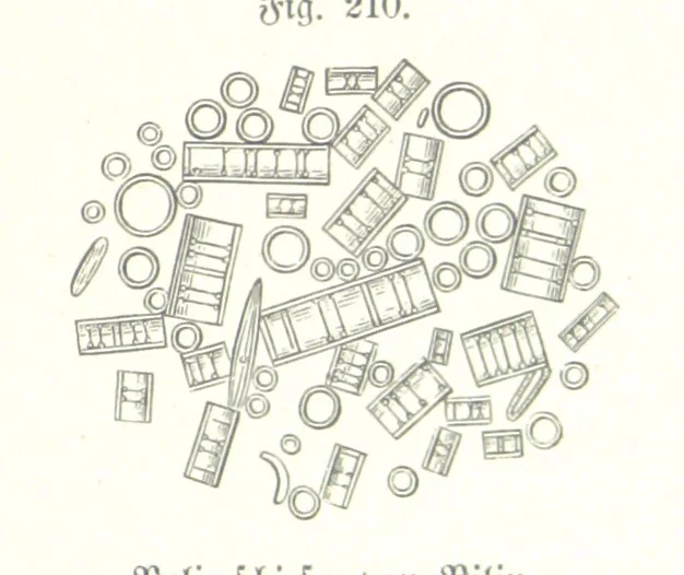 An illustration from Unser Wissen von der Erde. Allgemeine Erdkunde und Länderkunde, herausgegeben unter fachmännischer Mitwirkung von A. Kirchhoff, 1886, leaf 597