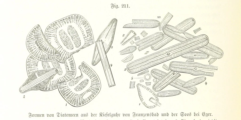 An illustration from Unser Wissen von der Erde. Allgemeine Erdkunde und Länderkunde, herausgegeben unter fachmännischer Mitwirkung von A. Kirchhoff, 1886, leaf 598