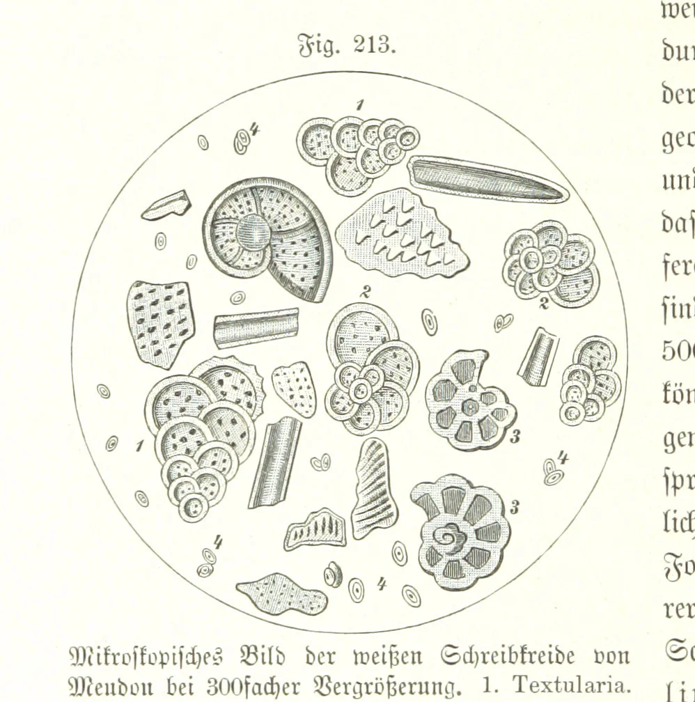 An illustration from Unser Wissen von der Erde. Allgemeine Erdkunde und Länderkunde, herausgegeben unter fachmännischer Mitwirkung von A. Kirchhoff, 1886, leaf 604
