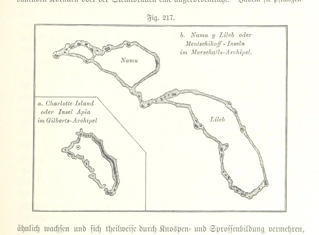 An illustration from Unser Wissen von der Erde. Allgemeine Erdkunde und Länderkunde, herausgegeben unter fachmännischer Mitwirkung von A. Kirchhoff, 1886, leaf 607