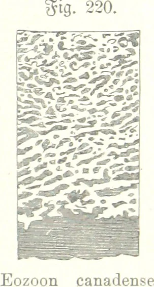 An illustration from Unser Wissen von der Erde. Allgemeine Erdkunde und Länderkunde, herausgegeben unter fachmännischer Mitwirkung von A. Kirchhoff, 1886, leaf 621
