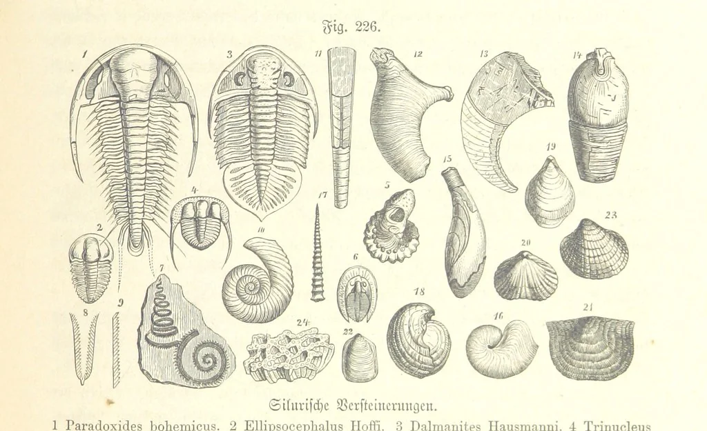 An illustration from Unser Wissen von der Erde. Allgemeine Erdkunde und Länderkunde, herausgegeben unter fachmännischer Mitwirkung von A. Kirchhoff, 1886, leaf 639