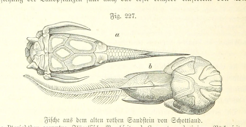 An illustration from Unser Wissen von der Erde. Allgemeine Erdkunde und Länderkunde, herausgegeben unter fachmännischer Mitwirkung von A. Kirchhoff, 1886, leaf 640