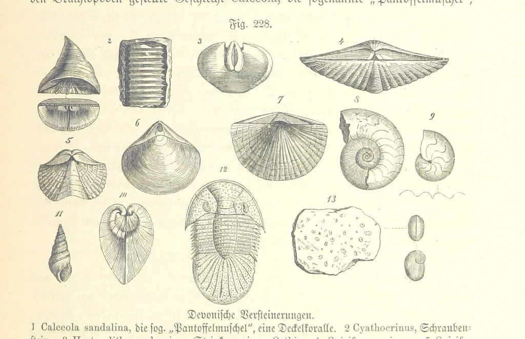 An illustration from Unser Wissen von der Erde. Allgemeine Erdkunde und Länderkunde, herausgegeben unter fachmännischer Mitwirkung von A. Kirchhoff, 1886, leaf 641