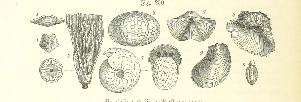 An illustration from Unser Wissen von der Erde. Allgemeine Erdkunde und Länderkunde, herausgegeben unter fachmännischer Mitwirkung von A. Kirchhoff, 1886, leaf 646