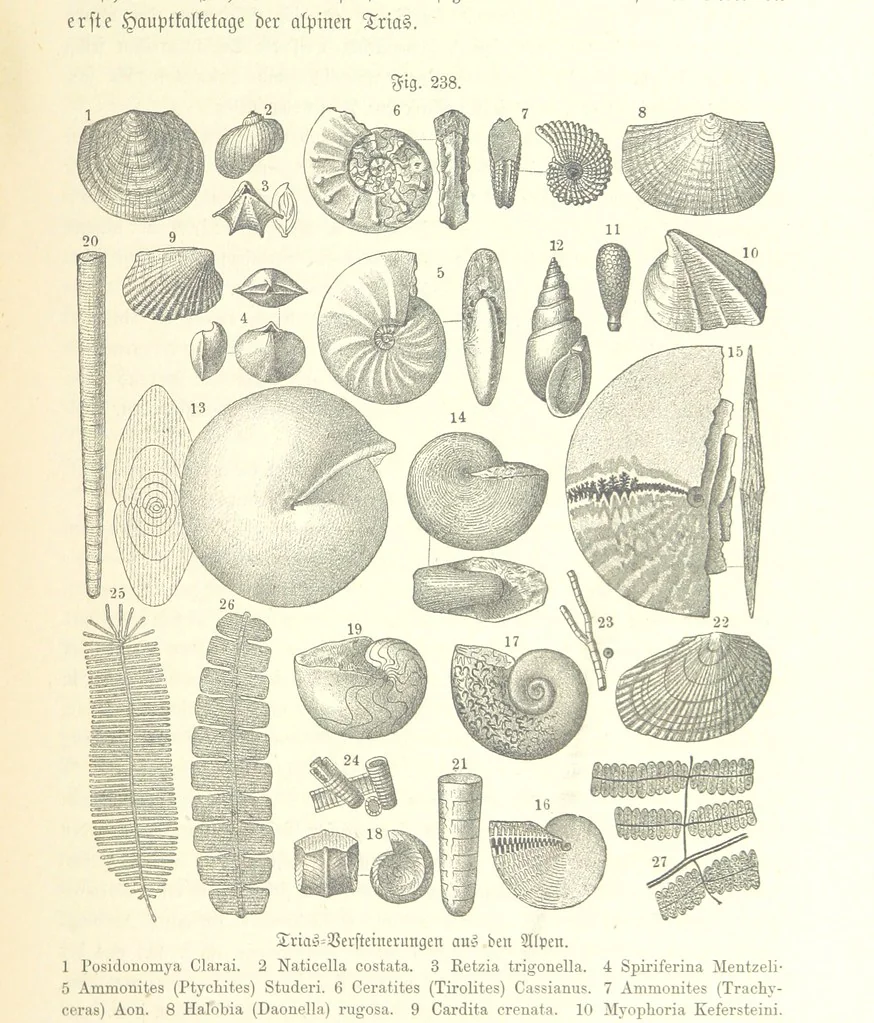 An illustration from Unser Wissen von der Erde. Allgemeine Erdkunde und Länderkunde, herausgegeben unter fachmännischer Mitwirkung von A. Kirchhoff, 1886, leaf 665