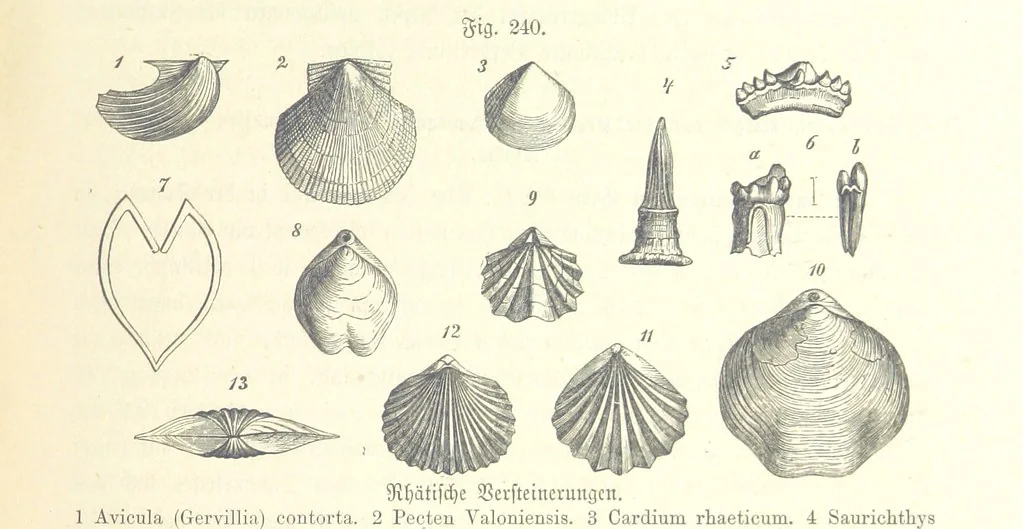 An illustration from Unser Wissen von der Erde. Allgemeine Erdkunde und Länderkunde, herausgegeben unter fachmännischer Mitwirkung von A. Kirchhoff, 1886, leaf 671