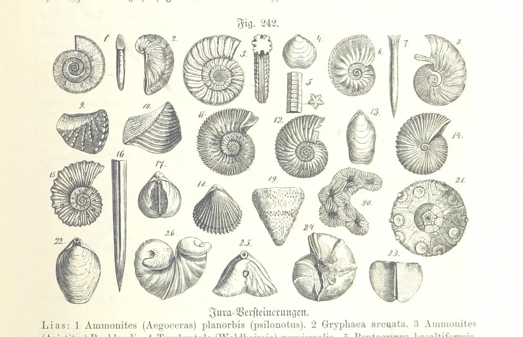 An illustration from Unser Wissen von der Erde. Allgemeine Erdkunde und Länderkunde, herausgegeben unter fachmännischer Mitwirkung von A. Kirchhoff, 1886, leaf 675