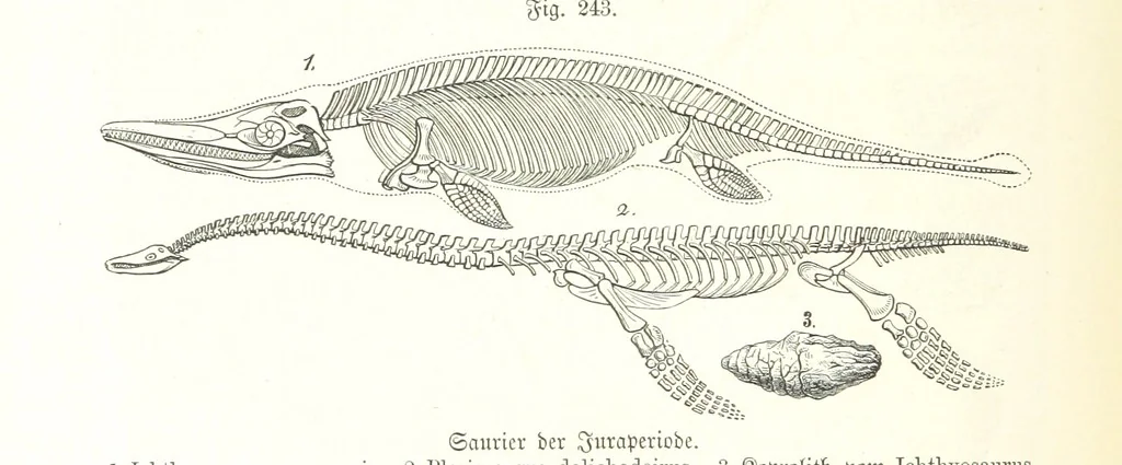 An illustration from Unser Wissen von der Erde. Allgemeine Erdkunde und Länderkunde, herausgegeben unter fachmännischer Mitwirkung von A. Kirchhoff, 1886, leaf 676