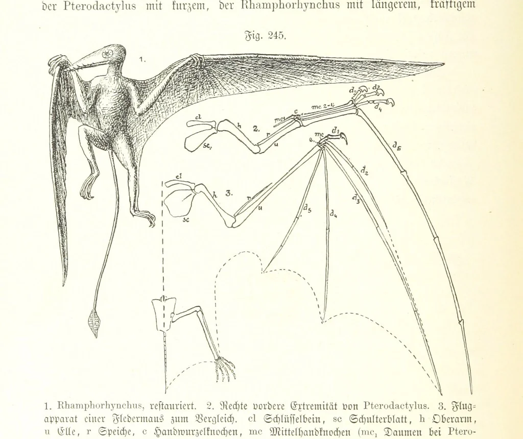 An illustration from Unser Wissen von der Erde. Allgemeine Erdkunde und Länderkunde, herausgegeben unter fachmännischer Mitwirkung von A. Kirchhoff, 1886, leaf 678