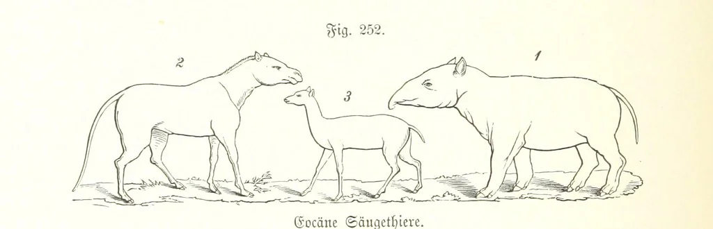 An illustration from Unser Wissen von der Erde. Allgemeine Erdkunde und Länderkunde, herausgegeben unter fachmännischer Mitwirkung von A. Kirchhoff, 1886, leaf 700