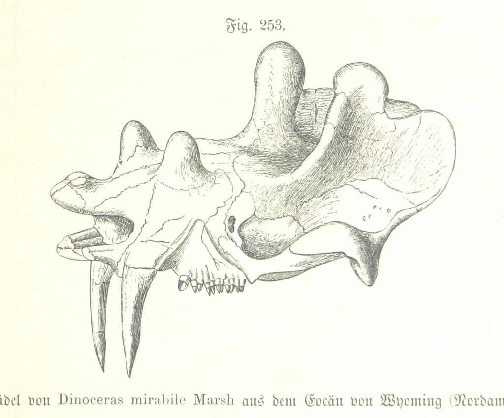 An illustration from Unser Wissen von der Erde. Allgemeine Erdkunde und Länderkunde, herausgegeben unter fachmännischer Mitwirkung von A. Kirchhoff, 1886, leaf 701