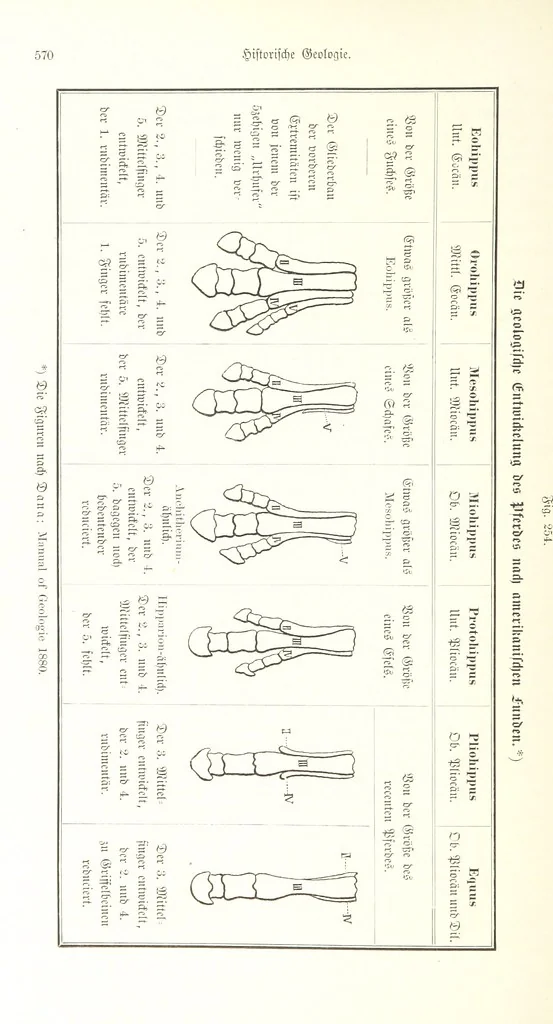 An illustration from Unser Wissen von der Erde. Allgemeine Erdkunde und Länderkunde, herausgegeben unter fachmännischer Mitwirkung von A. Kirchhoff, 1886, leaf 702