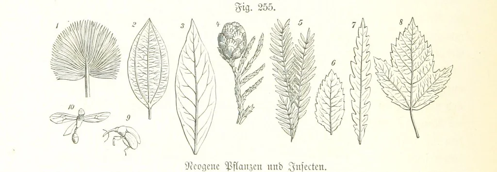 An illustration from Unser Wissen von der Erde. Allgemeine Erdkunde und Länderkunde, herausgegeben unter fachmännischer Mitwirkung von A. Kirchhoff, 1886, leaf 704
