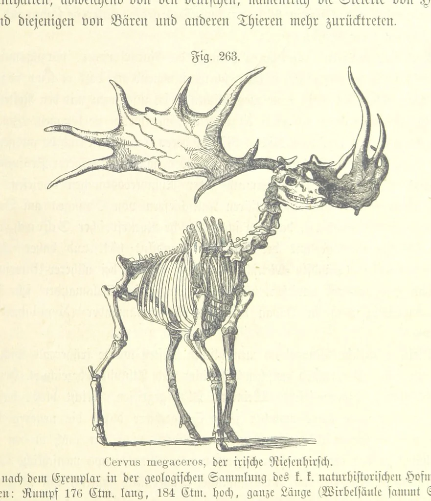 An illustration from Unser Wissen von der Erde. Allgemeine Erdkunde und Länderkunde, herausgegeben unter fachmännischer Mitwirkung von A. Kirchhoff, 1886, leaf 721