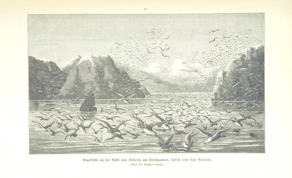 An illustration from Unser Wissen von der Erde. Allgemeine Erdkunde und Länderkunde, herausgegeben unter fachmännischer Mitwirkung von A. Kirchhoff, 1886, leaf 827