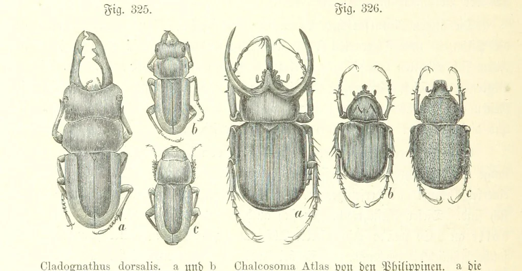 An illustration from Unser Wissen von der Erde. Allgemeine Erdkunde und Länderkunde, herausgegeben unter fachmännischer Mitwirkung von A. Kirchhoff, 1886, leaf 842