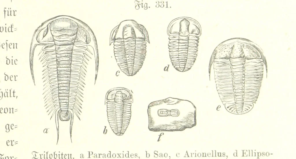 An illustration from Unser Wissen von der Erde. Allgemeine Erdkunde und Länderkunde, herausgegeben unter fachmännischer Mitwirkung von A. Kirchhoff, 1886, leaf 865