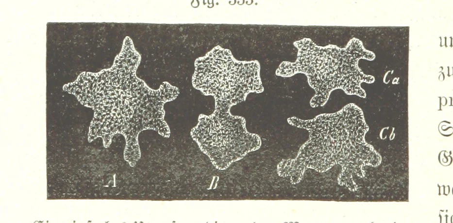 An illustration from Unser Wissen von der Erde. Allgemeine Erdkunde und Länderkunde, herausgegeben unter fachmännischer Mitwirkung von A. Kirchhoff, 1886, leaf 870