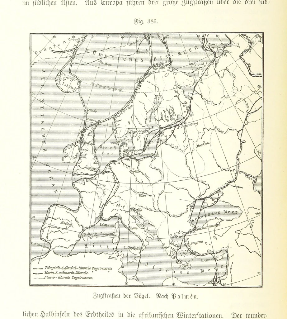 An illustration from Unser Wissen von der Erde. Allgemeine Erdkunde und Länderkunde, herausgegeben unter fachmännischer Mitwirkung von A. Kirchhoff, 1886, leaf 914