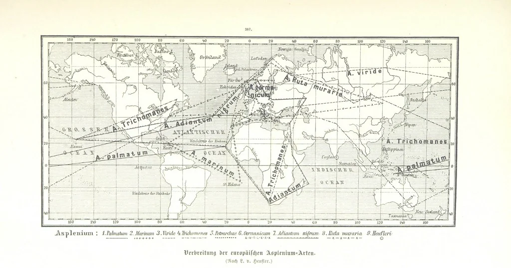 An illustration from Unser Wissen von der Erde. Allgemeine Erdkunde und Länderkunde, herausgegeben unter fachmännischer Mitwirkung von A. Kirchhoff, 1886, leaf 917