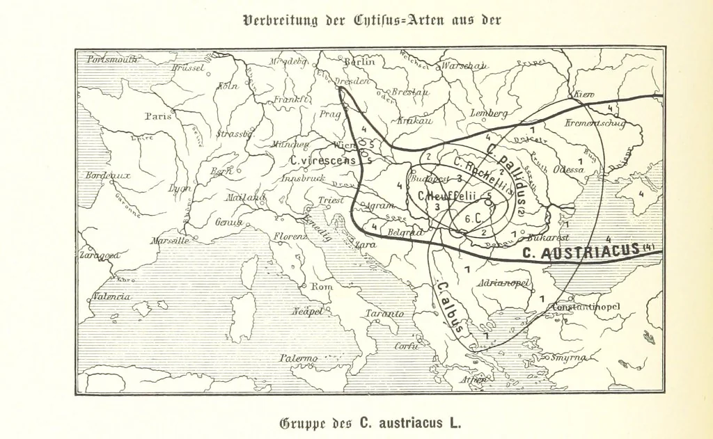 An illustration from Unser Wissen von der Erde. Allgemeine Erdkunde und Länderkunde, herausgegeben unter fachmännischer Mitwirkung von A. Kirchhoff, 1886, leaf 920