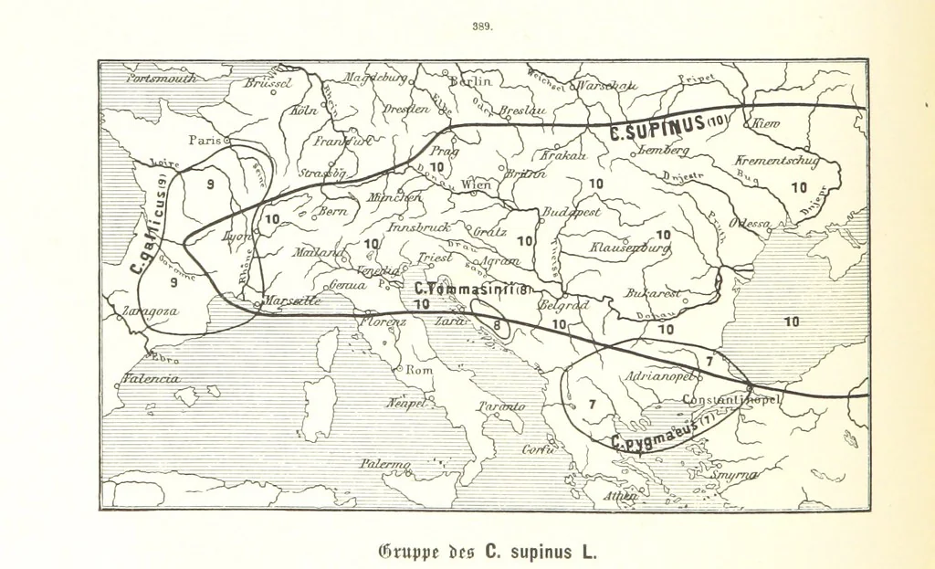 An illustration from Unser Wissen von der Erde. Allgemeine Erdkunde und Länderkunde, herausgegeben unter fachmännischer Mitwirkung von A. Kirchhoff, 1886, leaf 920