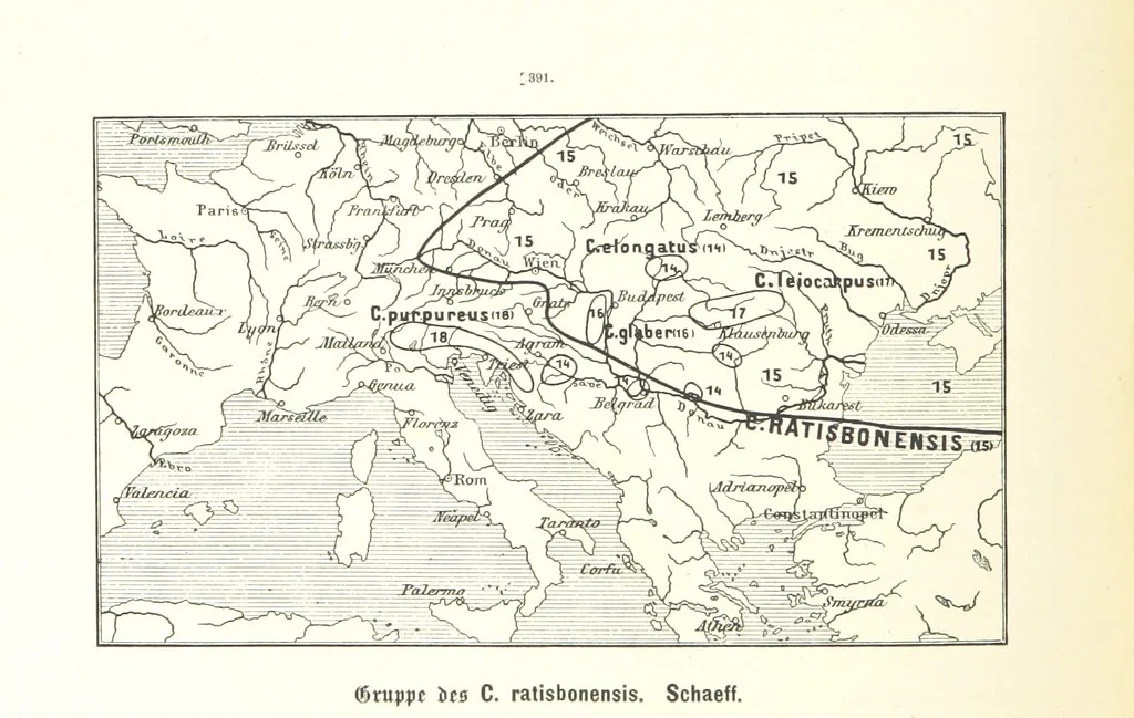 An illustration from Unser Wissen von der Erde. Allgemeine Erdkunde und Länderkunde, herausgegeben unter fachmännischer Mitwirkung von A. Kirchhoff, 1886, leaf 922