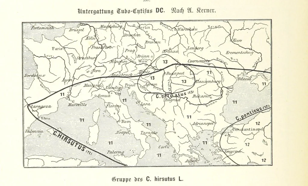 An illustration from Unser Wissen von der Erde. Allgemeine Erdkunde und Länderkunde, herausgegeben unter fachmännischer Mitwirkung von A. Kirchhoff, 1886, leaf 922