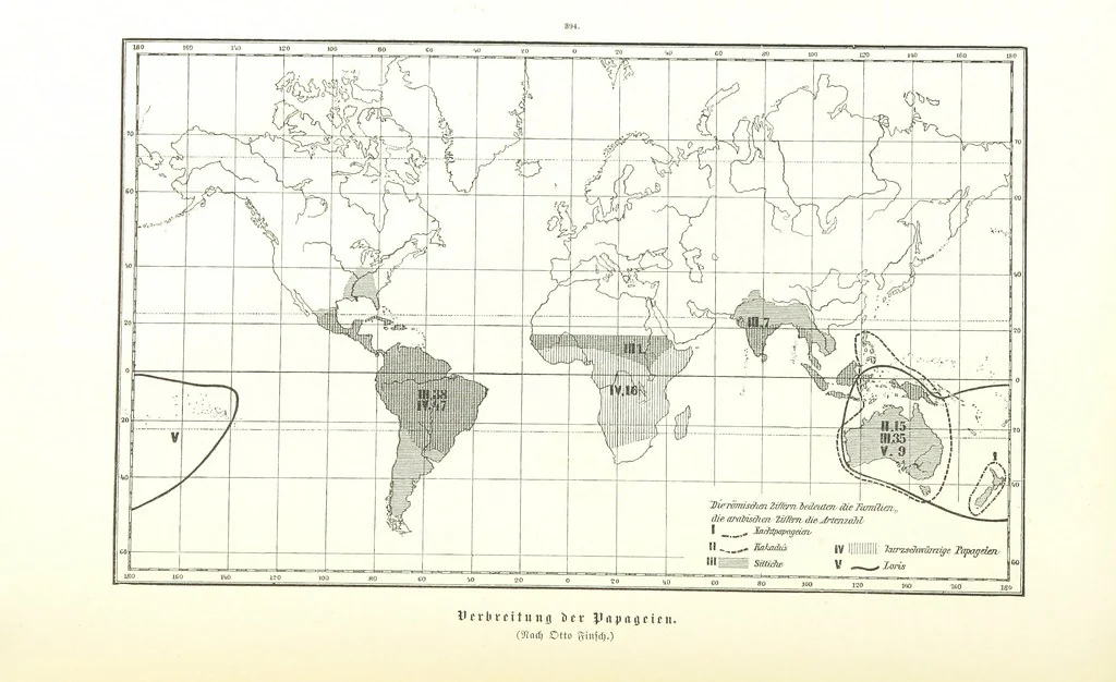 An illustration from Unser Wissen von der Erde. Allgemeine Erdkunde und Länderkunde, herausgegeben unter fachmännischer Mitwirkung von A. Kirchhoff, 1886, leaf 932