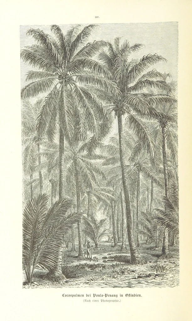 An illustration from Unser Wissen von der Erde. Allgemeine Erdkunde und Länderkunde, herausgegeben unter fachmännischer Mitwirkung von A. Kirchhoff, 1886, leaf 944