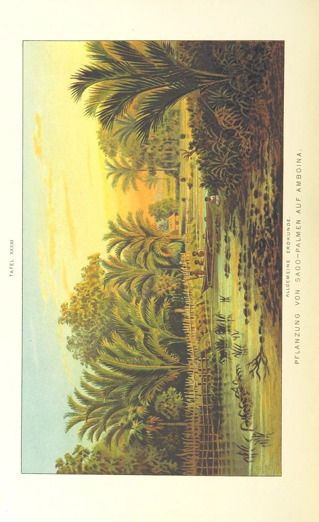 An illustration from Unser Wissen von der Erde. Allgemeine Erdkunde und Länderkunde, herausgegeben unter fachmännischer Mitwirkung von A. Kirchhoff, 1886, leaf 946