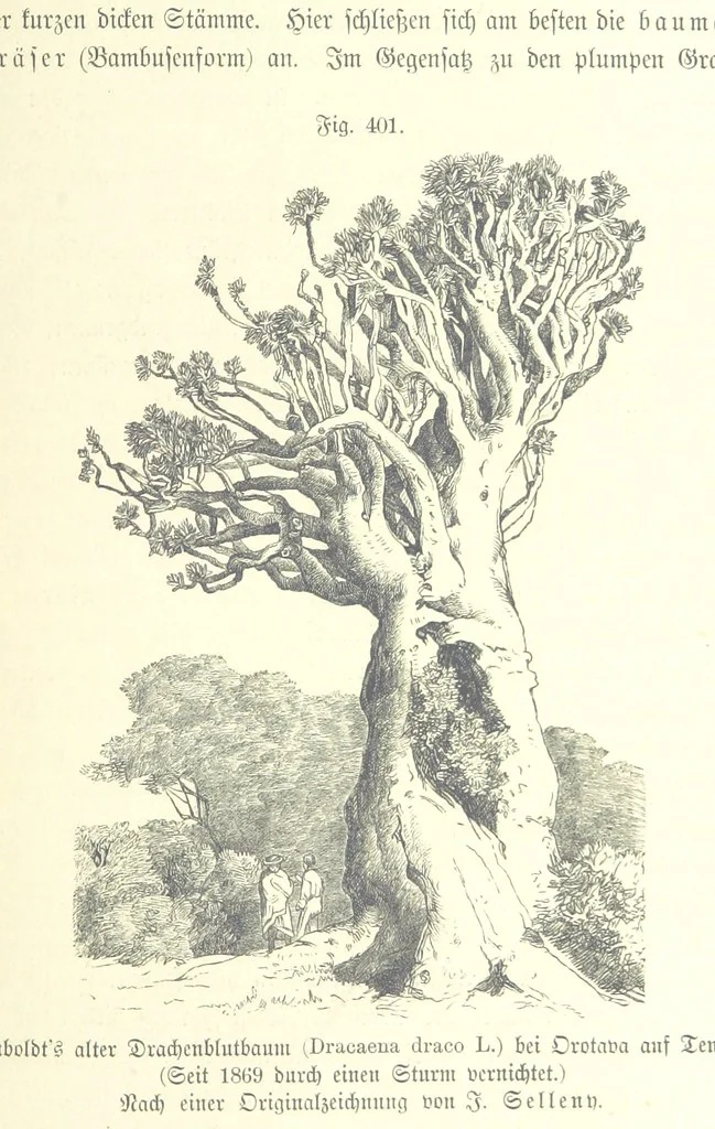 An illustration from Unser Wissen von der Erde. Allgemeine Erdkunde und Länderkunde, herausgegeben unter fachmännischer Mitwirkung von A. Kirchhoff, 1886, leaf 949