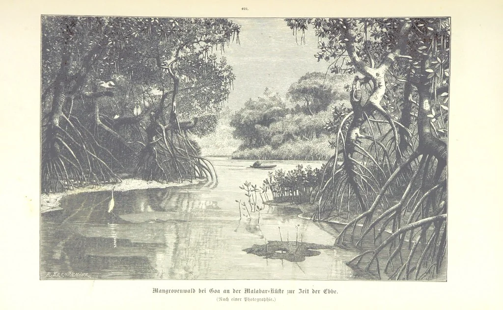 An illustration from Unser Wissen von der Erde. Allgemeine Erdkunde und Länderkunde, herausgegeben unter fachmännischer Mitwirkung von A. Kirchhoff, 1886, leaf 951