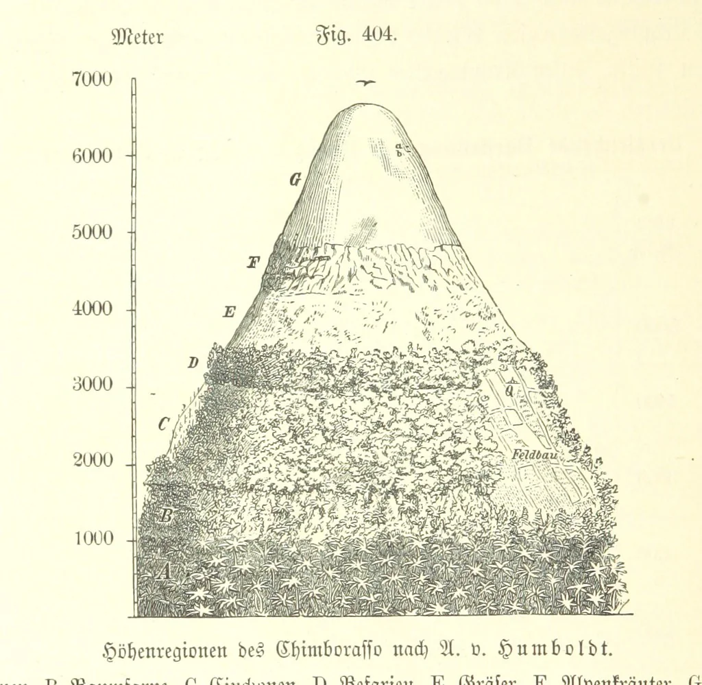 An illustration from Unser Wissen von der Erde. Allgemeine Erdkunde und Länderkunde, herausgegeben unter fachmännischer Mitwirkung von A. Kirchhoff, 1886, leaf 958