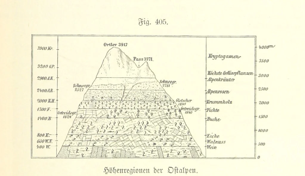 An illustration from Unser Wissen von der Erde. Allgemeine Erdkunde und Länderkunde, herausgegeben unter fachmännischer Mitwirkung von A. Kirchhoff, 1886, leaf 959