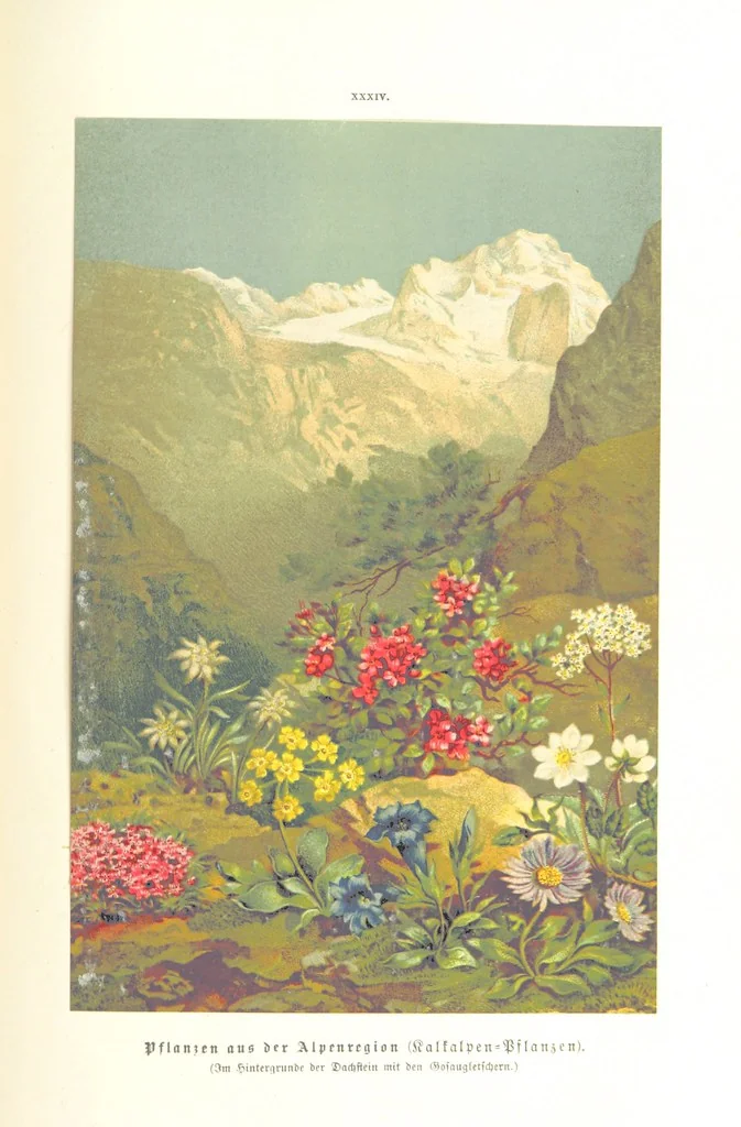 An illustration from Unser Wissen von der Erde. Allgemeine Erdkunde und Länderkunde, herausgegeben unter fachmännischer Mitwirkung von A. Kirchhoff, 1886, leaf 961